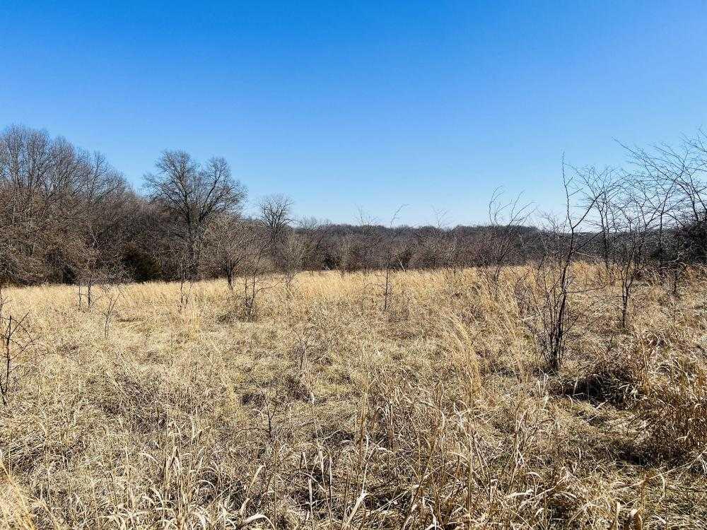 Pat Road Tract 1, 24-100, Marceline, Lots and Land,  for sale, CENTURY 21 McKeown & Associates, Inc.